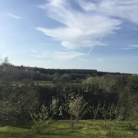 Carrick-On-Shannon Guest House Πανσιόν