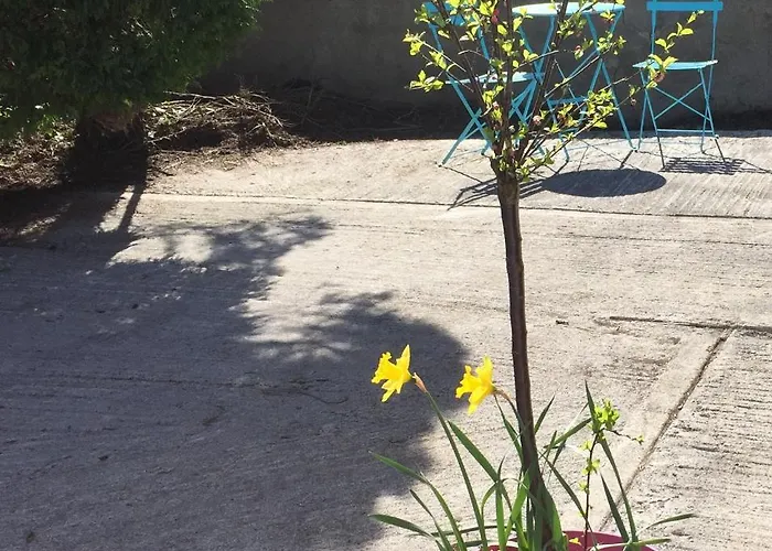 Carrick-On-Shannon Guest House Pensjonat 3*